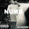 205 Messiah - Numb